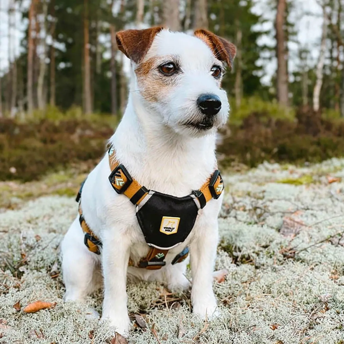 Woolly Wolf Hundsele Ljusbrun med Mönster