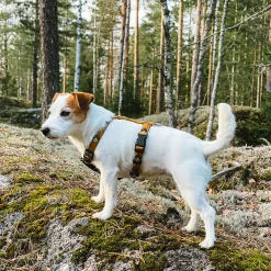 Woolly Wolf Hundsele Ljusbrun med Mönster