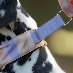 Woolly Wolf Sunshower Mjukt Hundhalsband Halvstryp Lila