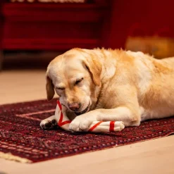 Xmas Julkäpp Tuggben till Hund