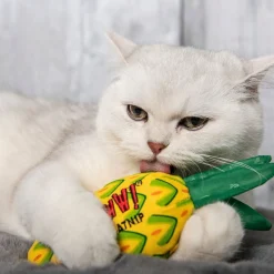 Yeowww! Kattmynta Ananas